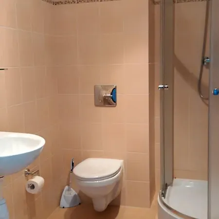 Dw Fantazja B&B 코워브제크